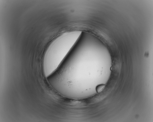 X0000096950315200802080926