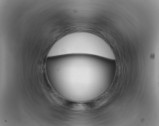 X0000096950316200802080926