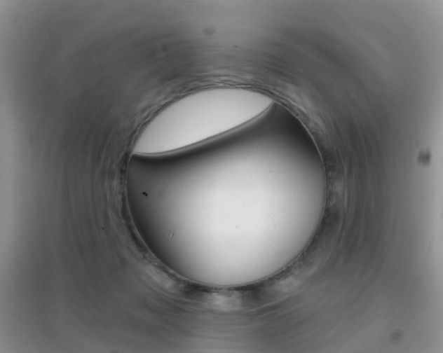 X0000096950317200802080926