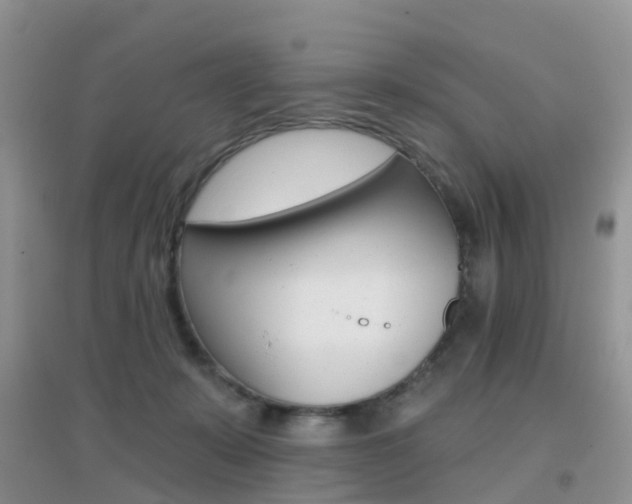 X0000096950319200802080926