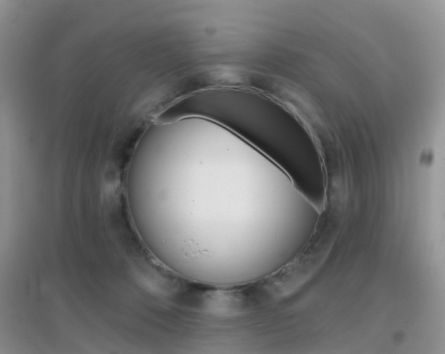 X0000096950320200802080926