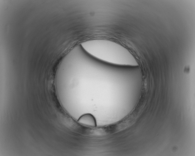 X0000096950322200802080926