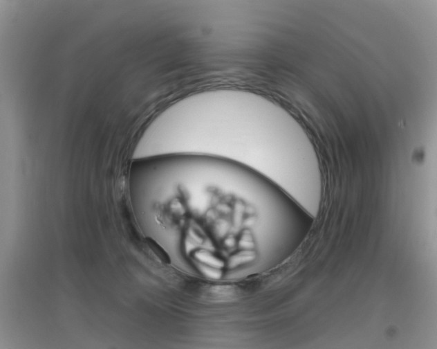 X0000096950324200802080926