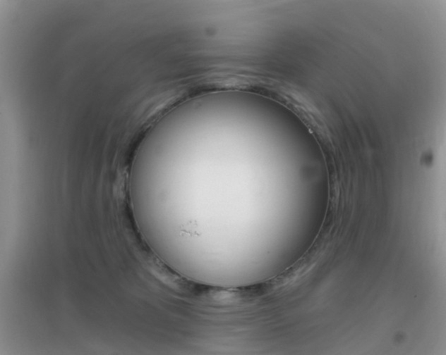 X0000096950325200802080926