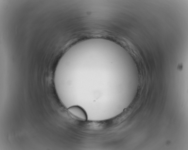 X0000096950326200802080926