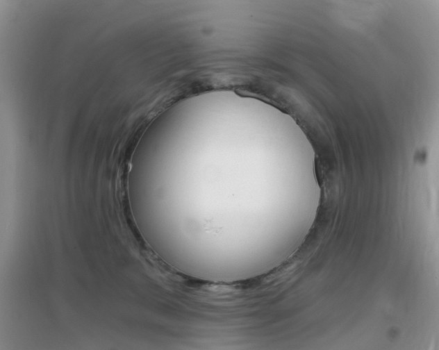 X0000096950327200802080926