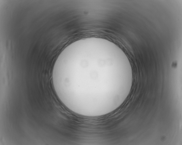 X0000096950328200802080926