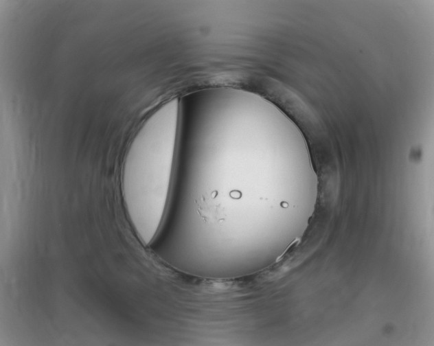 X0000096950329200802080926