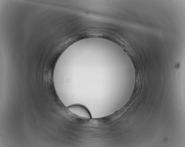 X0000096950330200802080926