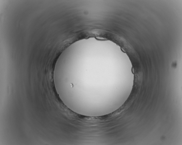X0000096950331200802080926