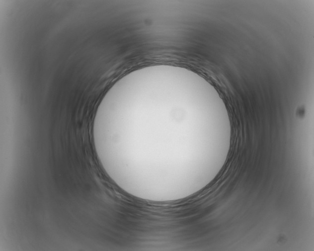 X0000096950332200802080926