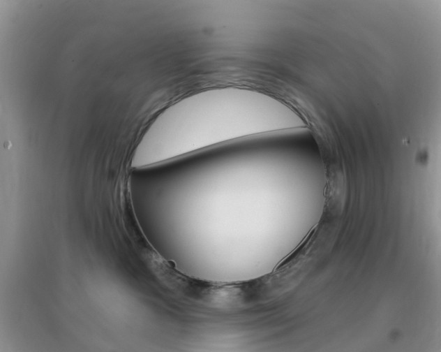 X0000096950333200802080926