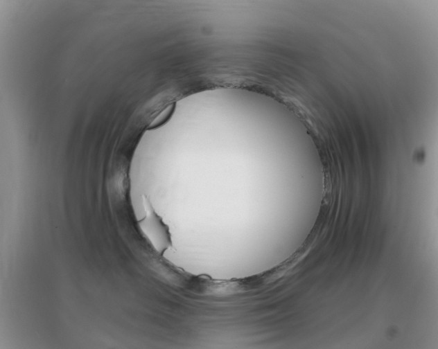 X0000096950334200802080926