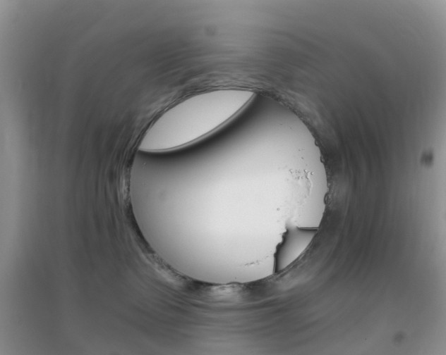X0000096950335200802080926