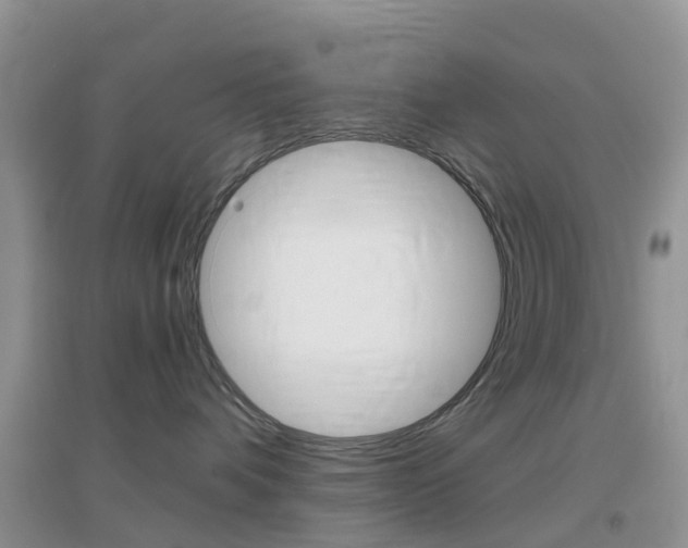 X0000096950336200802080926