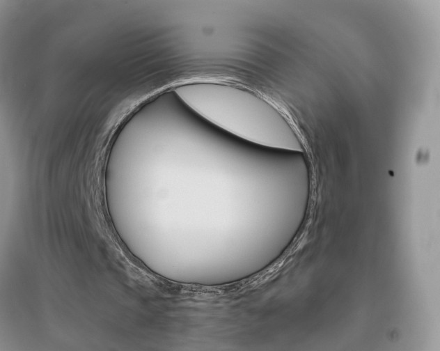 X0000096950337200802080925