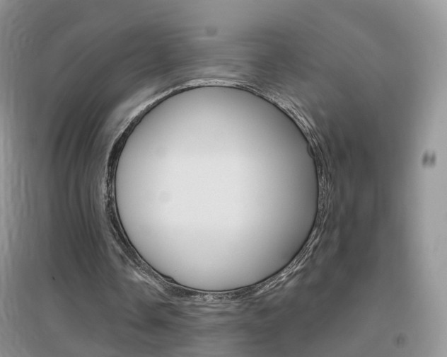 X0000096950338200802080925