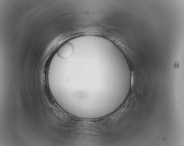 X0000096950339200802080925