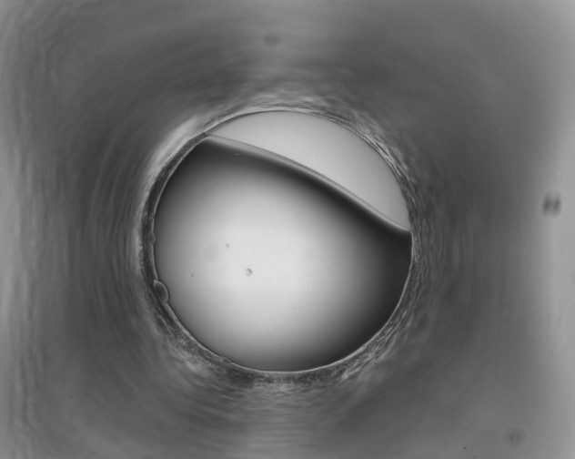 X0000096950340200802080925