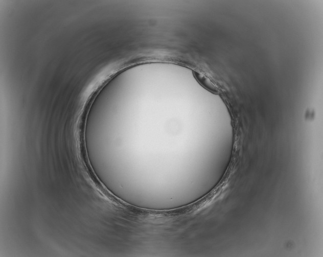 X0000096950341200802080925