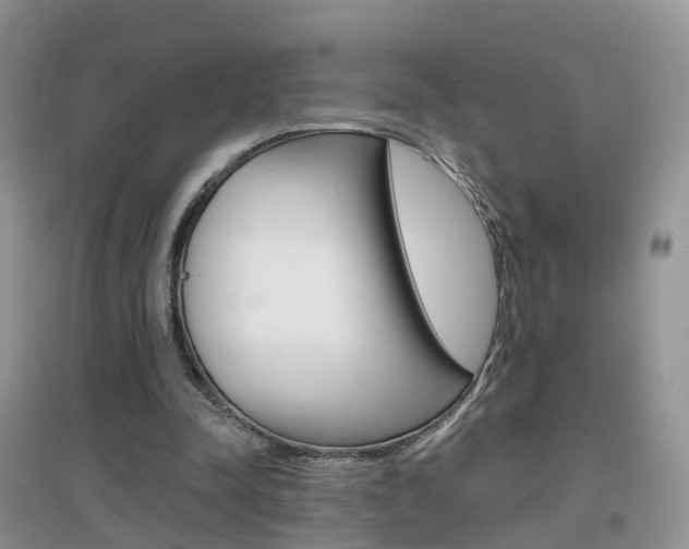 X0000096950342200802080926
