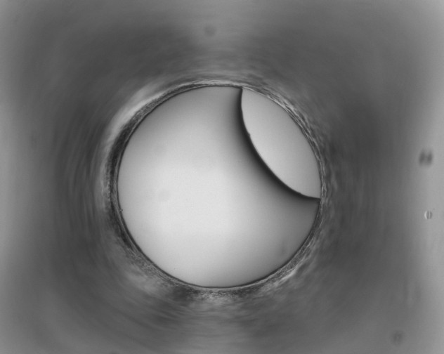 X0000096950343200802080926