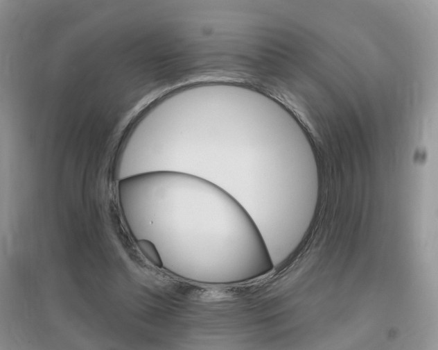 X0000096950348200802080926