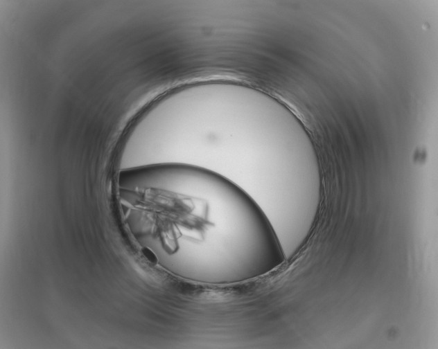 X0000096950350200802080926