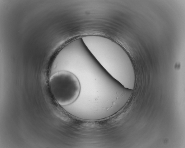 X0000096950351200802080926