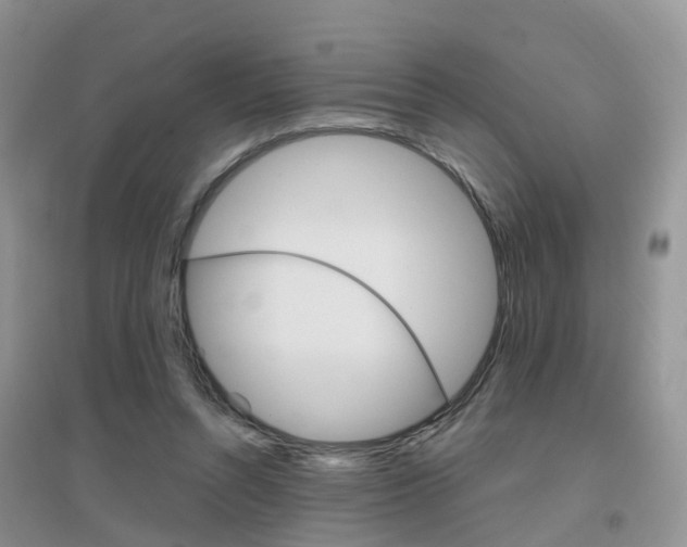 X0000096950352200802080926