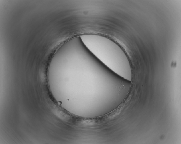 X0000096950353200802080926