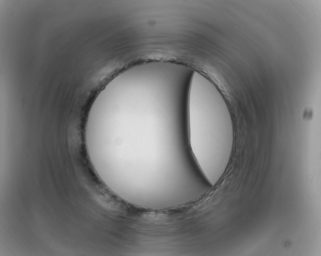X0000096950354200802080926