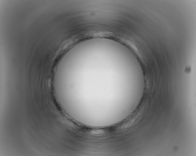 X0000096950357200802080926