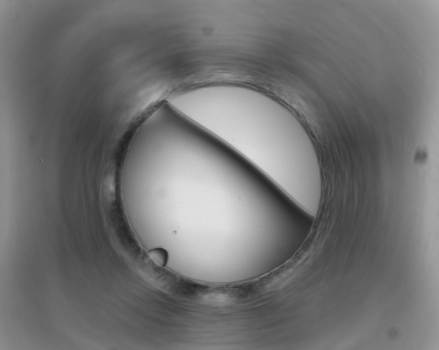 X0000096950358200802080926