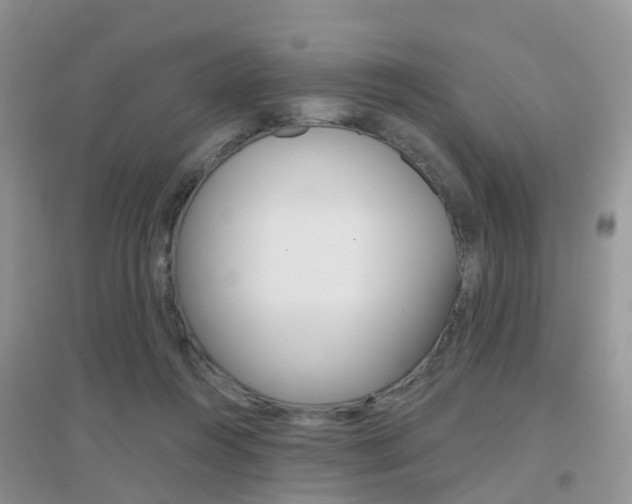 X0000096950360200802080926
