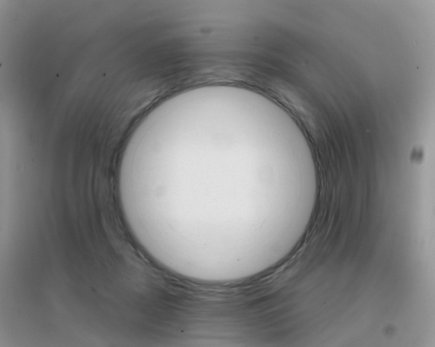 X0000096950362200802080926