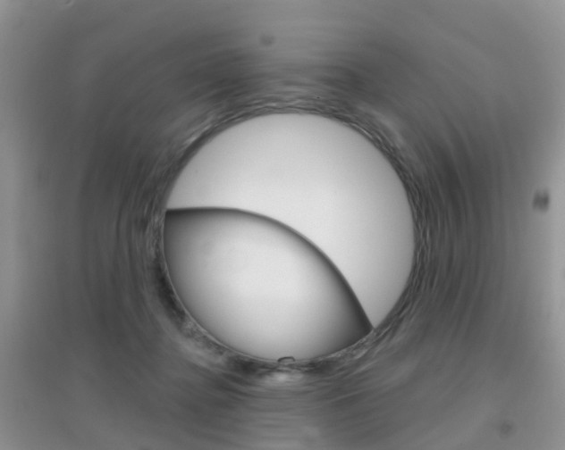 X0000096950364200802080926