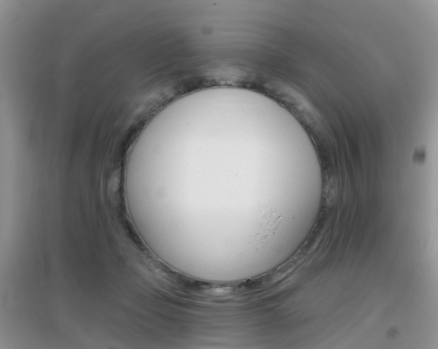 X0000096950365200802080926