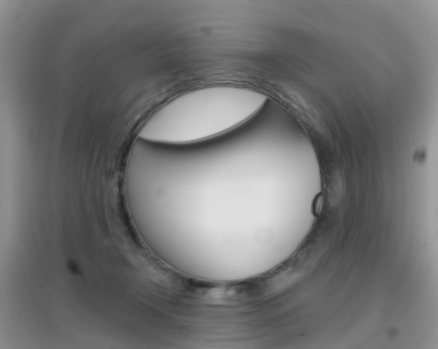 X0000096950366200802080926