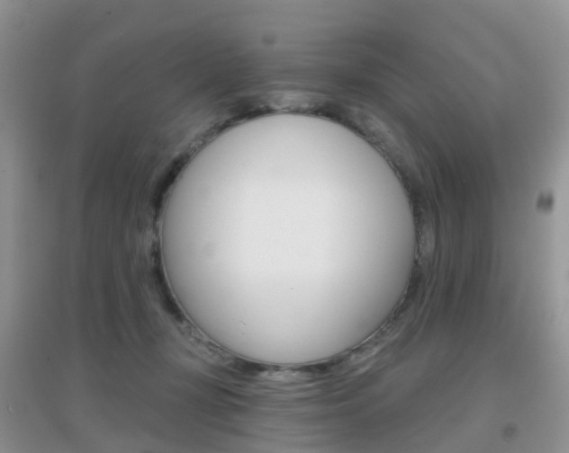 X0000096950367200802080926