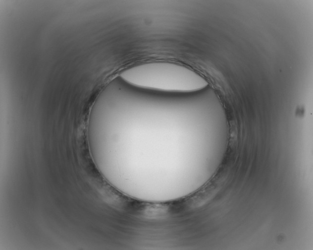 X0000096950369200802080926