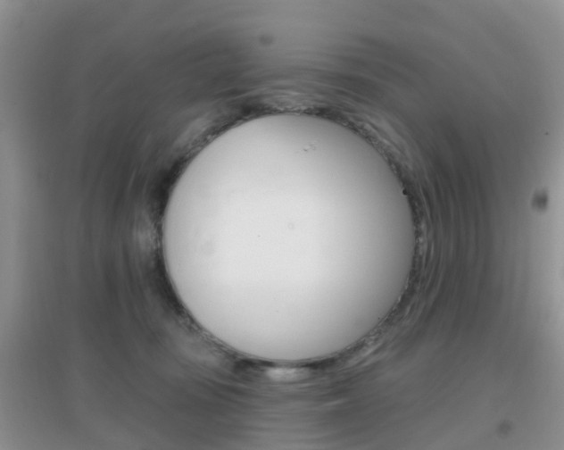 X0000096950371200802080926