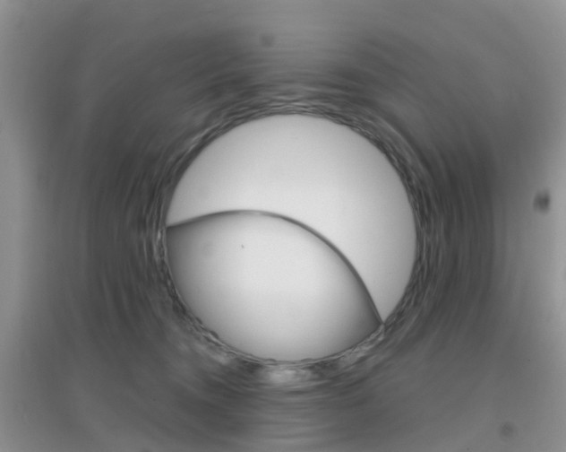 X0000096950372200802080926