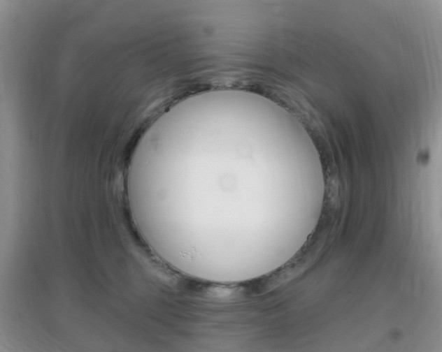 X0000096950375200802080926