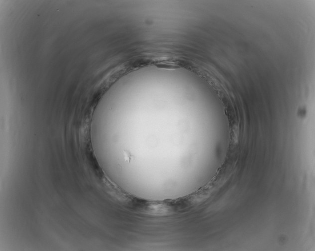 X0000096950376200802080926