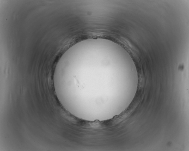 X0000096950377200802080926