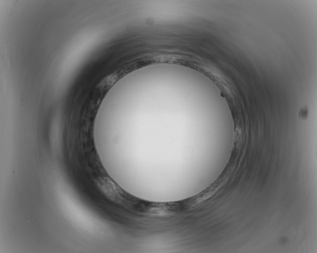 X0000096950381200802080926