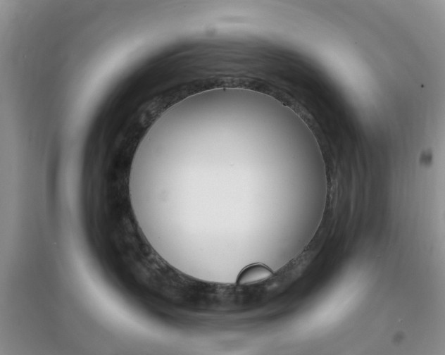 X0000096950383200802080926