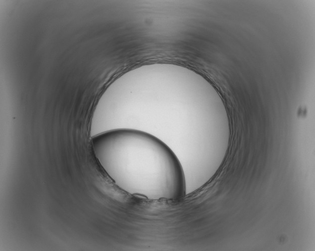 X0000096950384200802080926