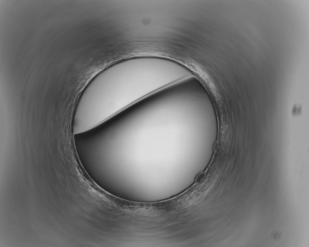 X0000096950385200802080925